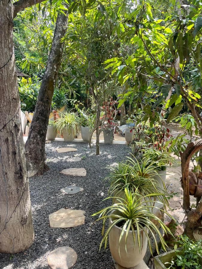 Готель Jungle Escape Hiriketiya Діквелла Екстер'єр фото